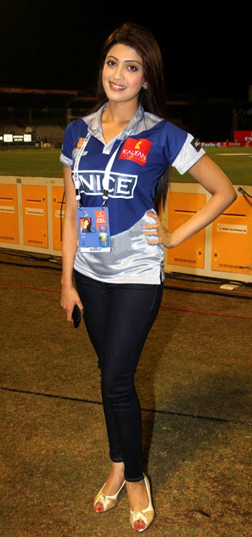 Celebrity Cricket League Appearance